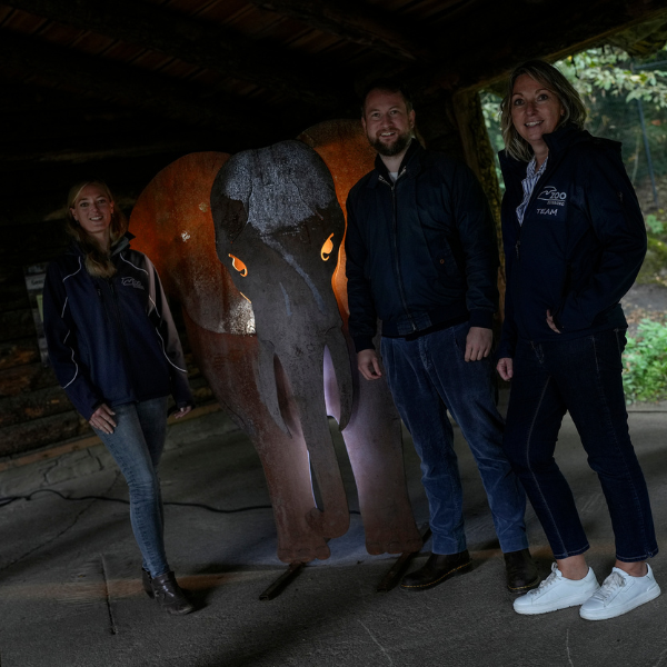 Vertreter von Zoo und world of lights präsentieren einen beleuchtetes Elefantenmodell.